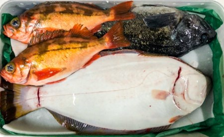 【2月発送開始】おさかなマイスター厳選　冬の魚介類BOX　(S)