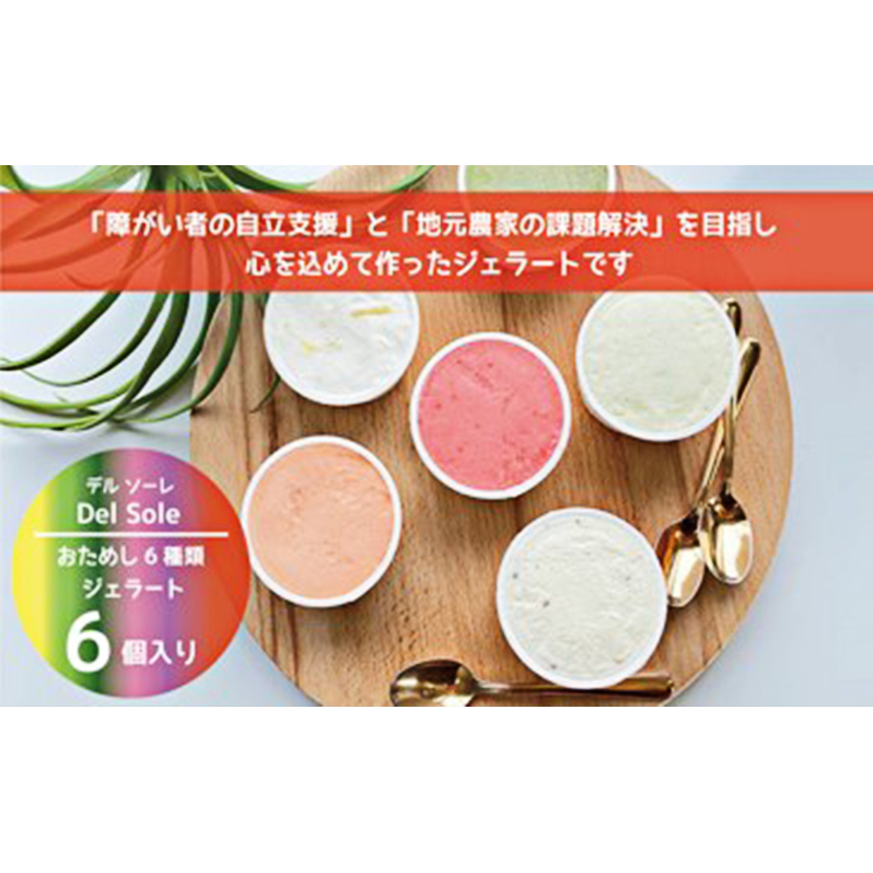 デルソーレ　ジェラート★大人気！旬の6種詰め合せ★（6個入り）セット 袋井市