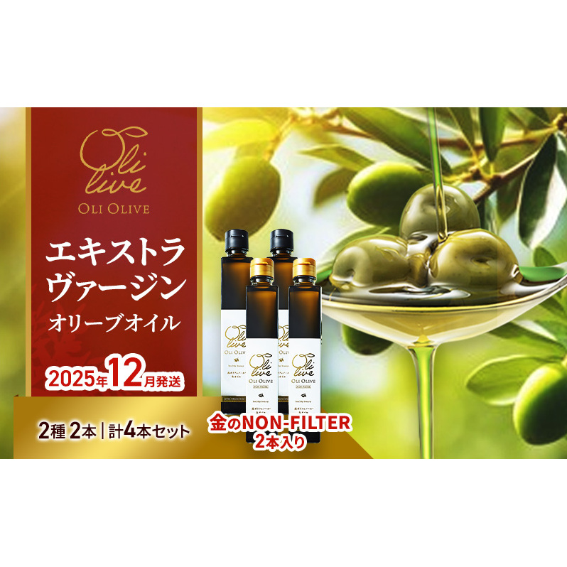 【生産予約】オリーブ通が選ぶ最高峰、金のNON-FILTER2本入りEVOO 計4本セット【2025年12月発送】エキストラ ヴァージン オリーブオイル イタリア トスカーナ産 袋井市 静岡県