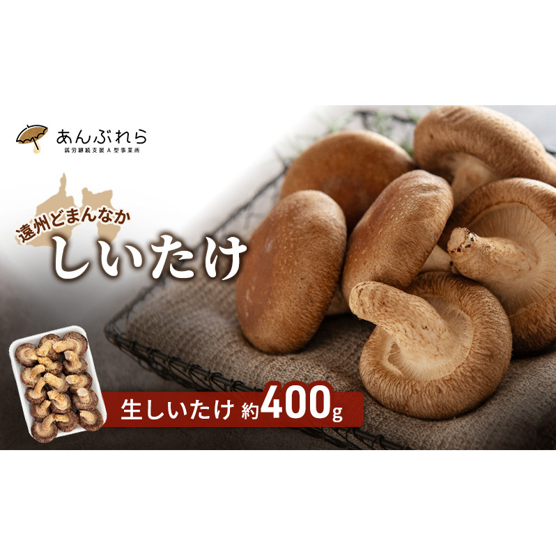 【遠州どまんなかしいたけ】 生しいたけ 約400g 椎茸 産地直送 国産 料理 素材 出汁 日本料理 就労支援 福祉 静岡 袋井