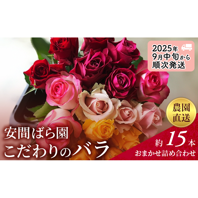 【2025年9月中旬から順次発送】安間ばら園 こだわりの バラ おまかせ詰め合わせ約15本入 クール便 花 ギフト 誕生日 記念日 花束 プレゼント バラ フラワーギフト