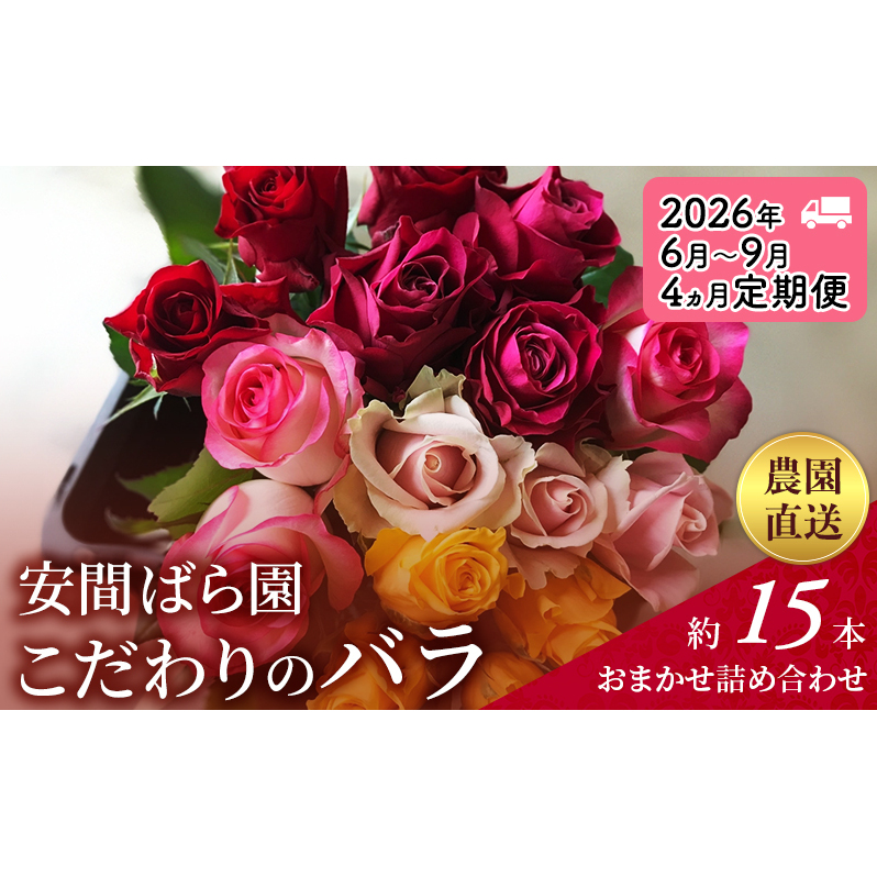 【2026年6月～9月定期便】安間ばら園 こだわりの バラ おまかせ詰め合わせ約15本 4か月定期便 花 ギフト 誕生日 記念日 花束 プレゼント バラ フラワーギフト