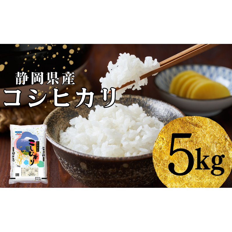 【2025年9月初旬より順次発送】米 静岡コシヒカリ 5kg コシヒカリ お米 白米 コメ 静岡県産