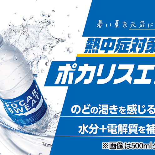 ポカリスエット 500ml 24本 大塚製薬 ポカリ スポーツドリンク イオン飲料 スポーツ トレーニング アウトドア 熱中症対策 健康 |  静岡県袋井市 | JRE MALLふるさと納税