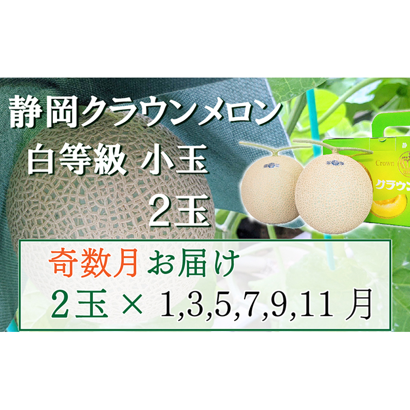 【奇数定期便】クラウンメロン【並(白等級)】小玉(1.1kg前後)2玉入り 果物 メロン青肉 フルーツ デザート 高級メロンブランド 高級メロン ブランドメロン 