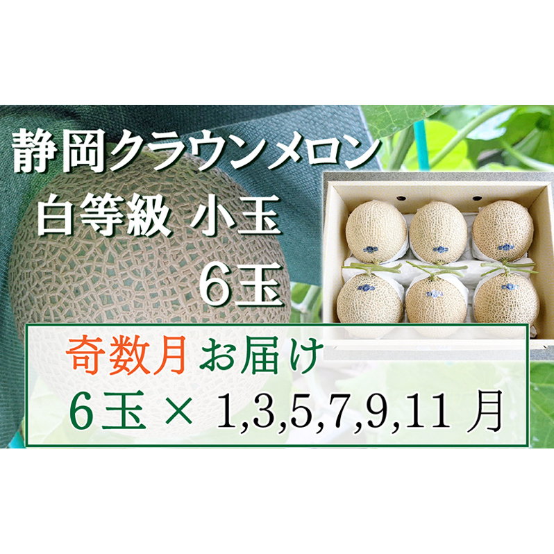 【奇数定期便】クラウンメロン【並(白等級)】小玉(1.1kg前後)6玉入り 果物 メロン青肉 フルーツ デザート 高級メロンブランド 高級メロン ブランドメロン 
