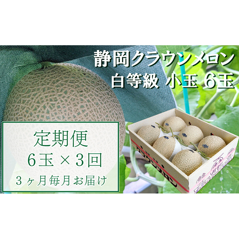 【3か月定期便】クラウンメロン【並(白等級)】小玉(1.1kg前後)6玉入り 果物 メロン青肉 フルーツ デザート 高級メロンブランド 高級メロン ブランドメロン 