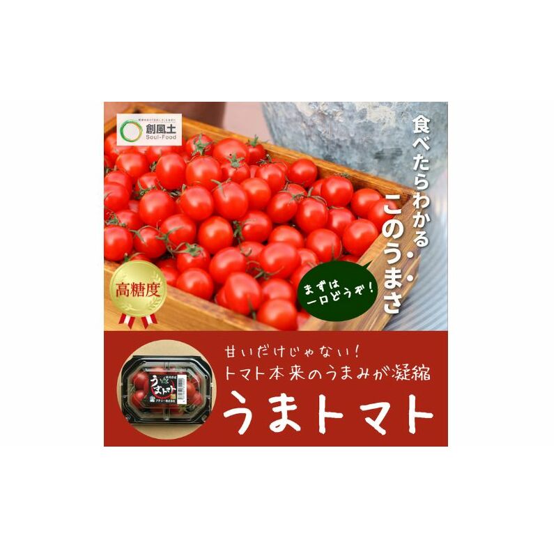 配送員設置 2025年5月中旬より順次発送】うまトマト 1kg 野菜 甘さ 酸味 語学・辞書・学習参考書