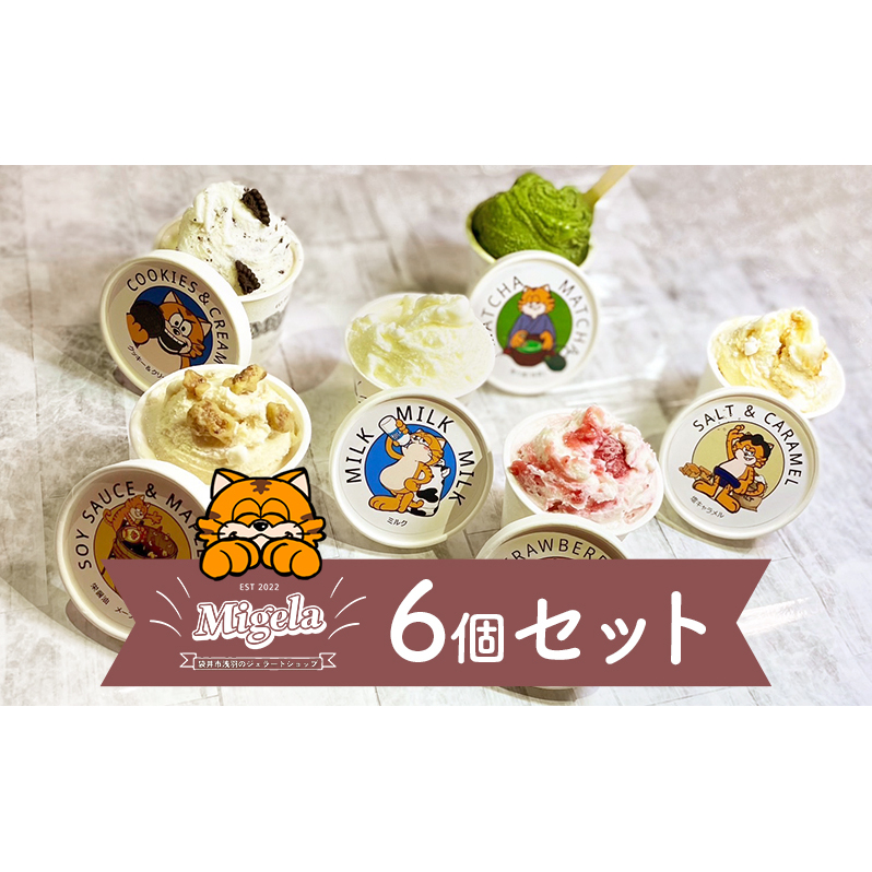 ジェラート Migelaの人気ジェラート6個食べ比べセット(1)【配送不可エリア:沖縄県,離島】 食べ比べ  Migela 袋井市