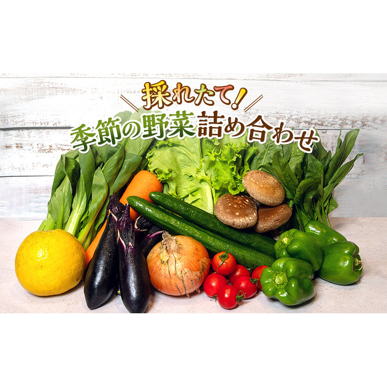 野菜 とれたて 季節の野菜 パック 8品前後 詰め合わせ セット 野菜セット 旬の野菜 旬 野菜詰め合わせ 野菜詰め合わせセット 産地直送 送料無料 たまねぎ にんじん じゃがいも ほうれん草 トマト キャベツ しいたけ 大根 白菜 冷蔵 静岡