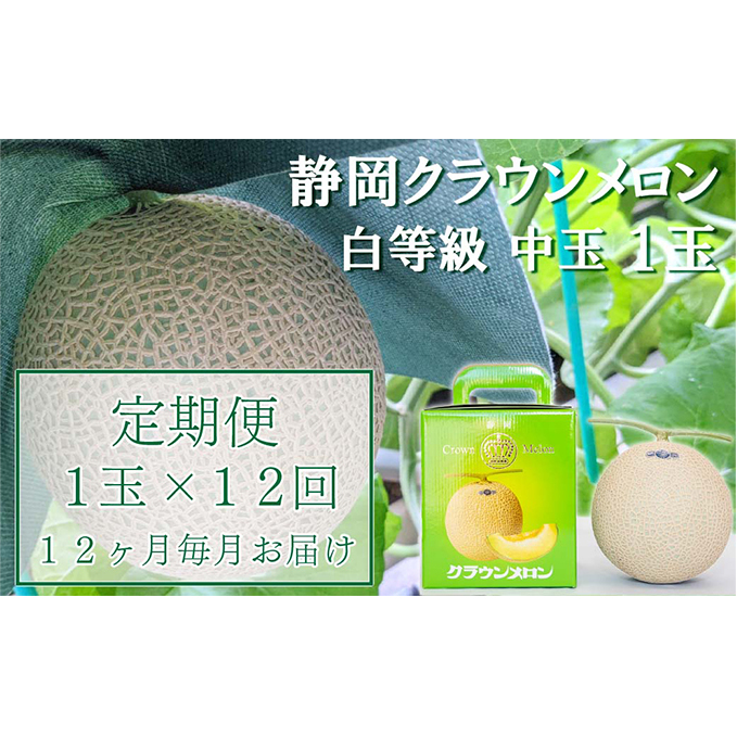 クラウンメロン【並（白等級）】中玉（1.3kg前後）1玉入り 定期便12ヶ月 人気 厳選 ギフト 贈り物 デザート グルメ 果物 袋井市 果物類 メロン青肉 フルーツ 12回 1年 
