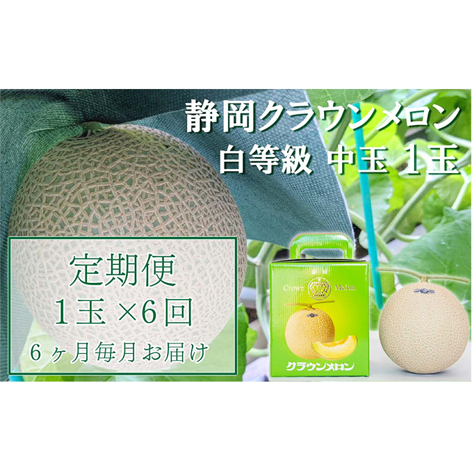 クラウンメロン【並(白等級)】中玉(1.3kg前後)1玉入り 定期便6ヶ月 人気 厳選 ギフト 贈り物 デザート グルメ 果物 袋井市 果物類 メロン青肉 フルーツ 6回 半年