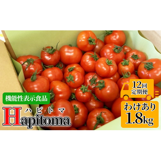 【12ヶ月定期便】機能性表示食品 Hapitoma ハピトマ 訳あり（1.8kg）【配送不可：北海道・沖縄・離島】健康 ヘルシー 人気 厳選  野菜 緑黄色野菜 産地直送 ダブル成分 GABA リコピン トマト 国産 静岡県産 袋井市産 食材 