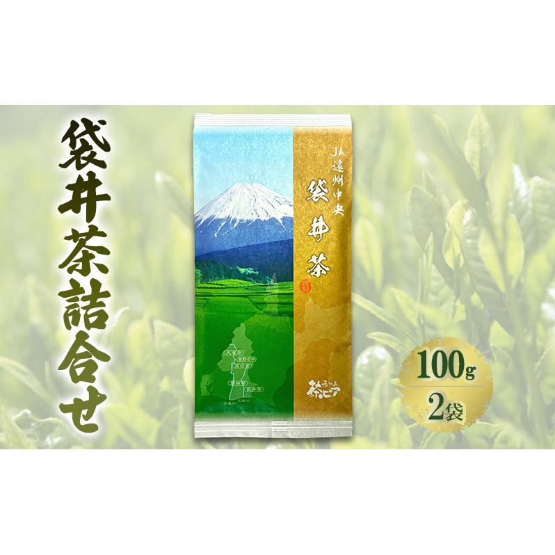 袋井茶詰合せ 100g2袋 煎茶 ギフト 贈り物 銘茶 人気 厳選 おすすめ 袋井市 静岡  飲料類 お茶 緑茶 静岡県産 セット