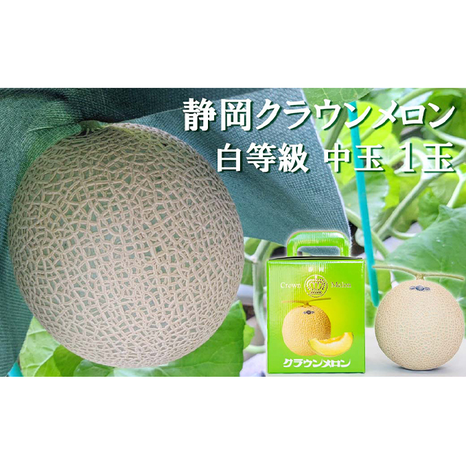クラウンメロン【並(白等級)】中玉(1.3kg前後)1玉入り 人気 厳選 ギフト 贈り物 デザート グルメ 果物 袋井市 果物類 メロン青肉 フルーツ