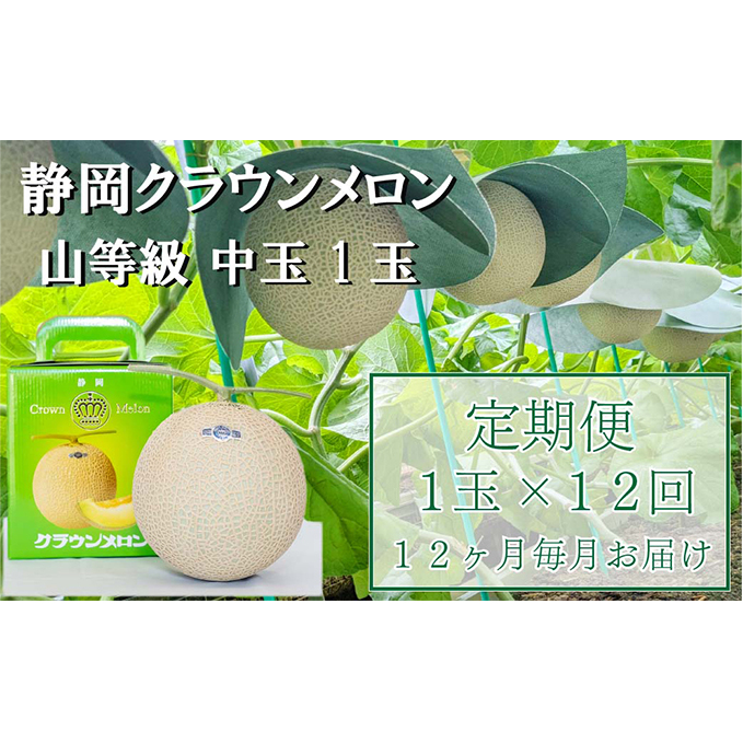 クラウンメロン【上(山等級)】中玉(1.3kg前後)1玉入り 定期便12ヶ月 人気 厳選 ギフト 贈り物 デザート グルメ 果物 袋井市 果物類 メロン青肉 フルーツ 12回 1年