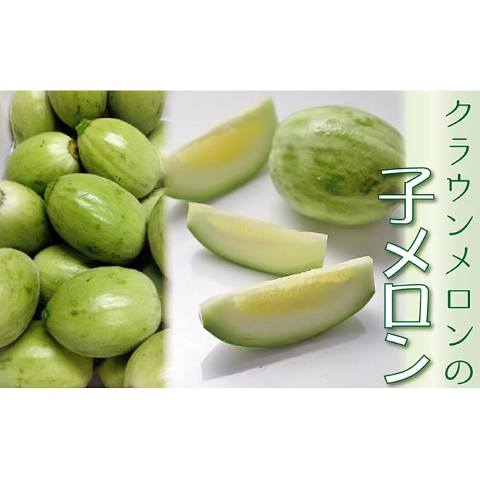 『クラウンメロンの子メロン』 メロン 人気 厳選 ギフト 贈り物 デザート グルメ フルーツ 果物 袋井市 果物類 メロン青肉