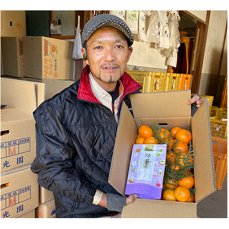 こたつみかん　静岡セット（お茶とワケありみかん約5kg）【配達不可地域あり】 果物 柑橘 フルーツ 冬 冬の味覚 デザート 温州みかん 緑茶 深蒸し茶 ティーバッグ 産地直送 静岡県産 