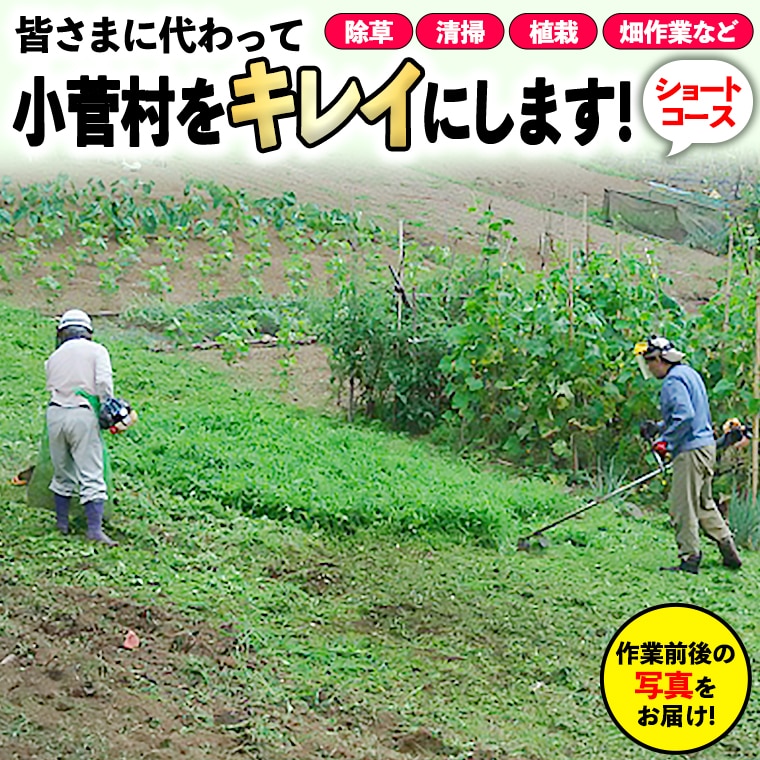 ふるさと小菅をきれいに!除草、清掃等サービス (ショートコース)