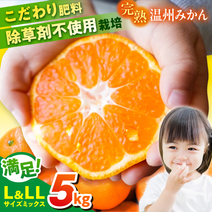[先行予約][数量限定]温州みかん Lサイズ&LLサイズ 5kg 津久井浜みかん [志村農園] [AKGH008]
