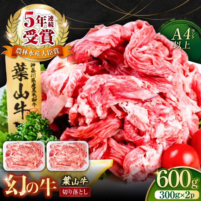 葉山牛 切り落とし300g×2パック 計600g[株式会社羽根] [AKAG001]