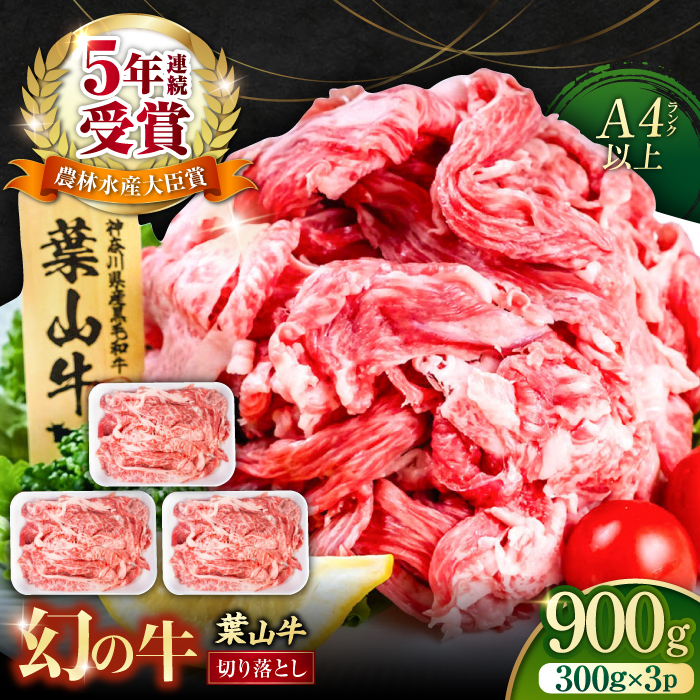 葉山牛 切り落とし300g×3パック 計900g [株式会社羽根] [AKAG002]