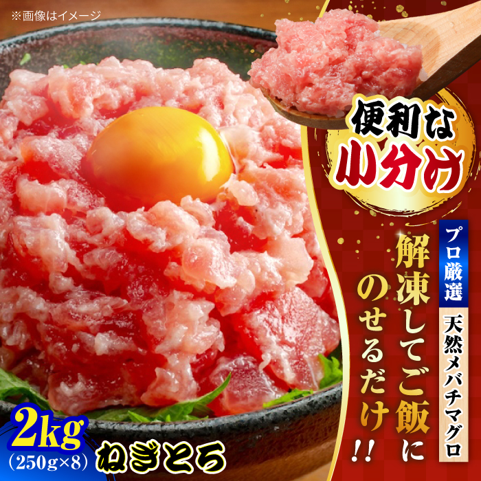 まぐろ ねぎとろ 約2kg(約250g×8パック)[横須賀商工会議所 おもてなしギフト事務局(本まぐろ直売所)][AKAK006]