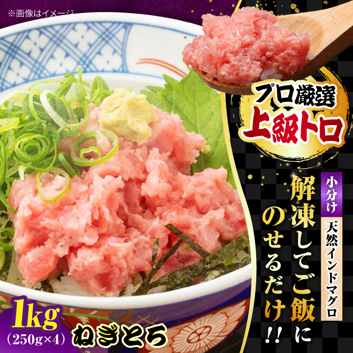 天然 まぐろ ねぎとろ 1kg(250g×4パック)[横須賀商工会議所 おもてなしギフト事務局(本まぐろ直売所)][AKAK008]