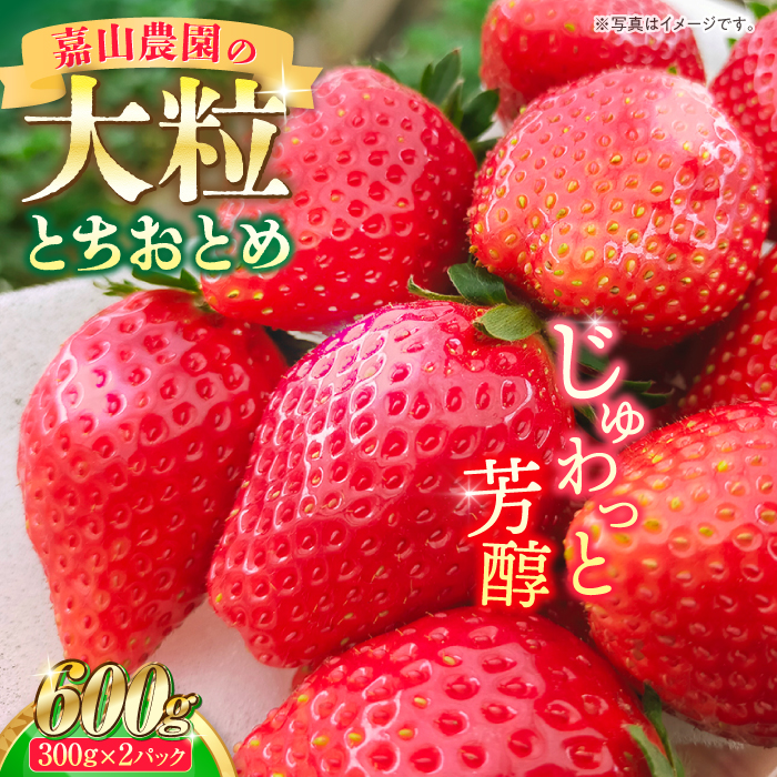 [先行予約][数量限定100セット]嘉山農園の完熟大粒いちご とちおとめ(300g×2パック)[いちごはうす嘉山農園] [AKCO001]