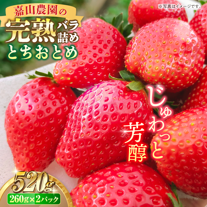 [先行予約][数量限定200セット]嘉山農園の完熟バラ詰めいちご とちおとめ(260g×2パック)[いちごはうす嘉山農園] [AKCO002]