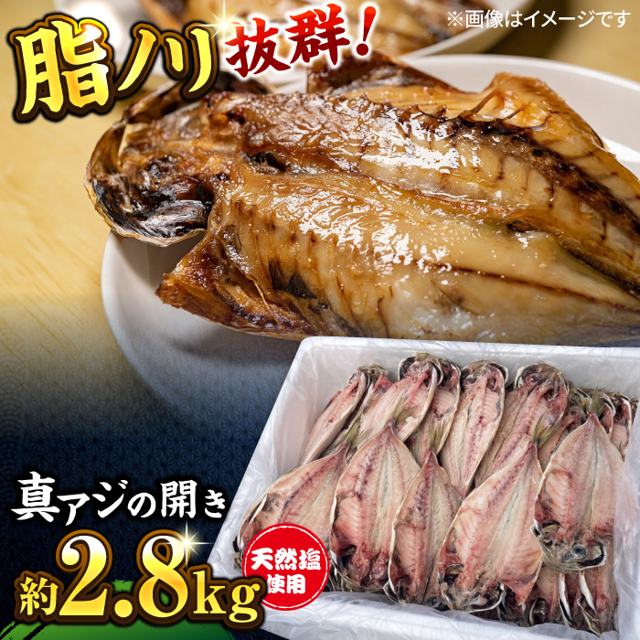 漁師町佐島 真アジの開き 約2.8kgセット 干物 アジ 鯵 開き 魚 横須賀 冷凍干物 厳選干物 人気干物 干物セット【石川水産】 [AKCX001]