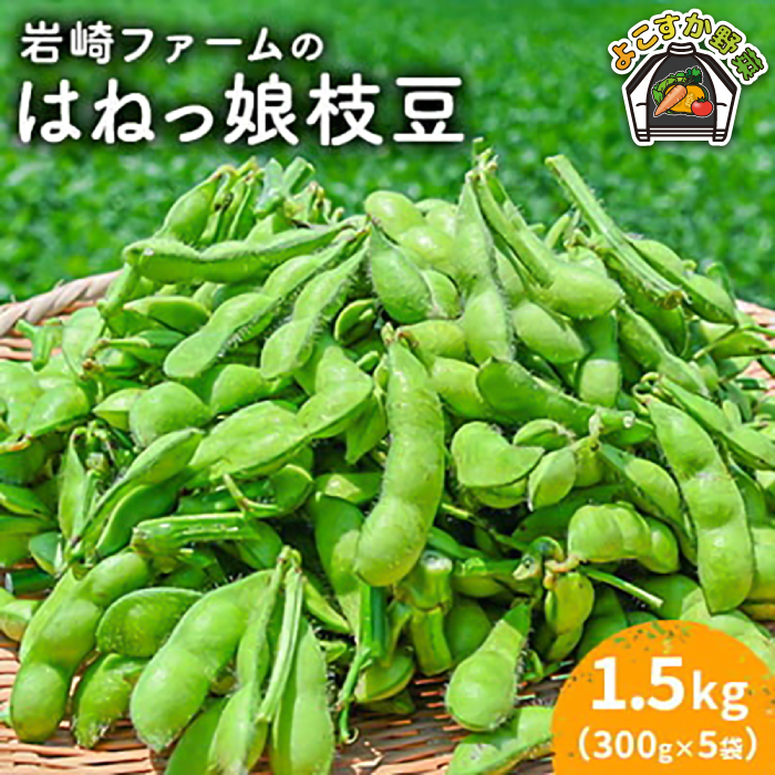 [先行予約][数量限定]はねっ娘枝豆 1.5kg(300g×5袋)[有限会社岩崎ファーム] [AKCZ001]