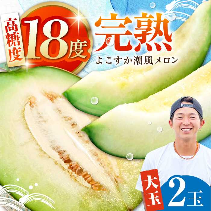 [先行予約][数量限定]よこすか潮風メロン 大玉4L 2玉セット 計約3kg [井上農園] [AKDJ001]