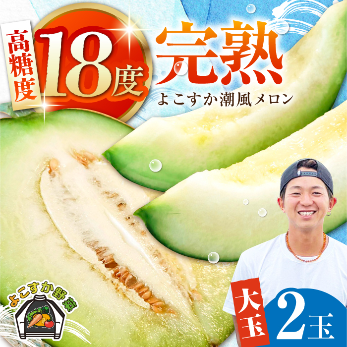 [先行予約][数量限定]よこすか潮風メロン 大玉4L 2玉セット 計約3kg [井上農園] [AKDJ001]