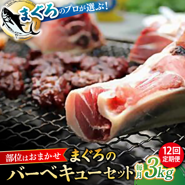 [全12回定期便]まぐろ おまかせバーベキューセット 冷凍約3kg[横須賀商工会議所 おもてなしギフト事務局(本まぐろ直売所)] [AKAK034]
