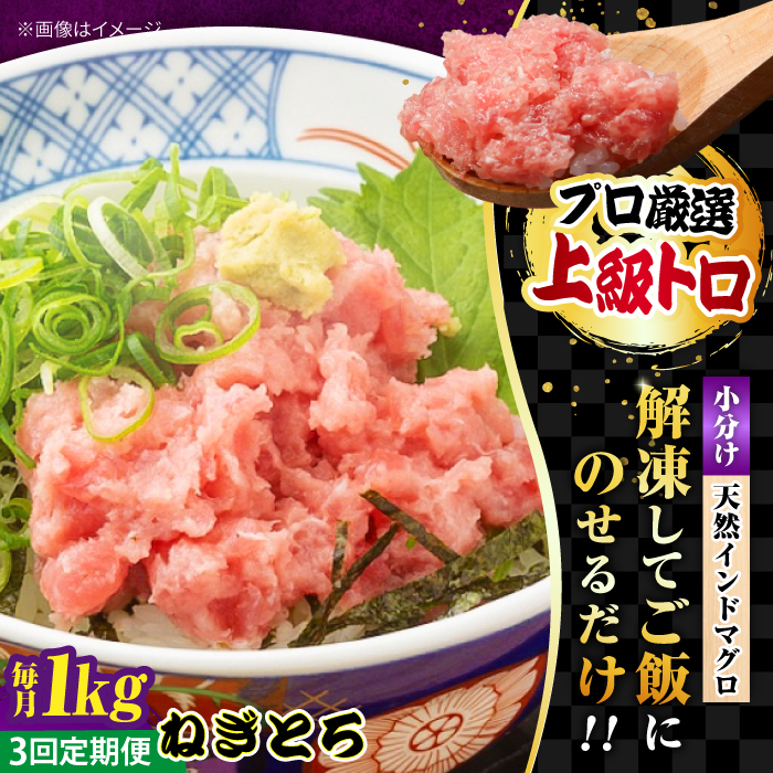 [全3回定期便]天然 まぐろ ねぎとろ 約1kg(約250g×4パック)[横須賀商工会議所 おもてなしギフト事務局(本まぐろ直売所)] [AKAK044]