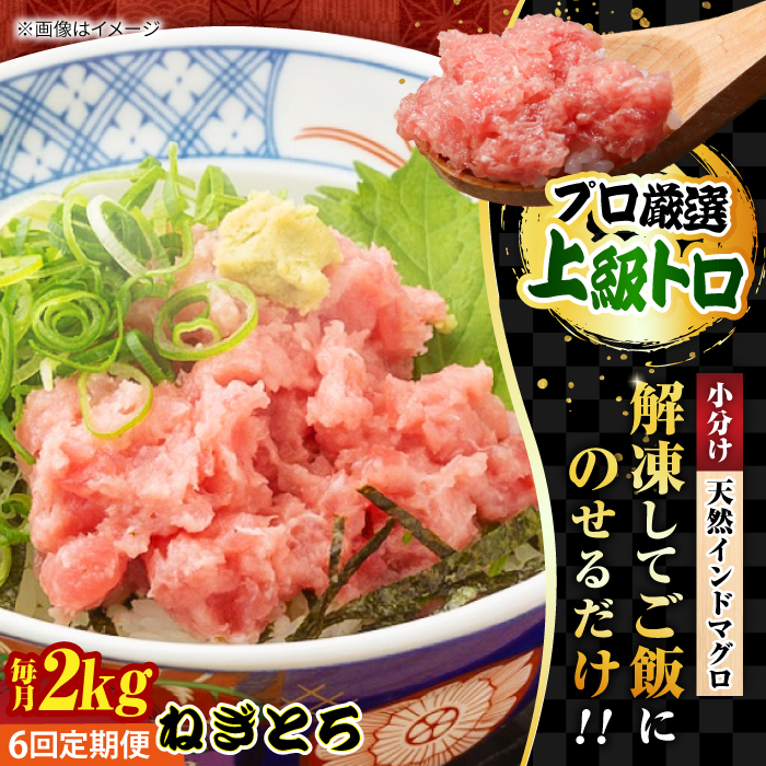 [全6回定期便]天然 まぐろ ねぎとろ 約2kg(約250g×8パック)[横須賀商工会議所 おもてなしギフト事務局(本まぐろ直売所 横須賀本店)] [AKAK048]