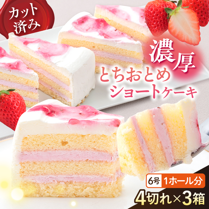 ドルチェケーキ とちおとめショート ケーキ 計12個(4個×3箱)[ファミール製菓株式会社] [AKCI022]