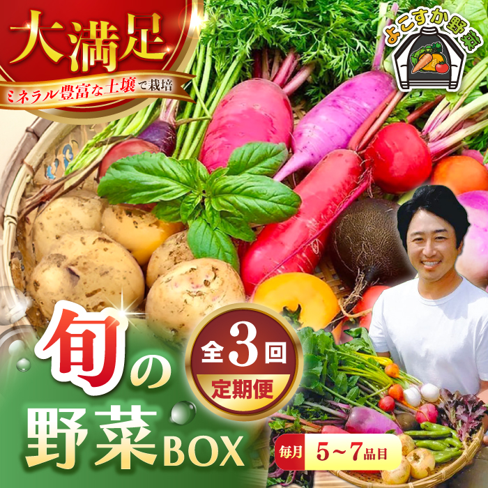 [全3回定期便]すずなり採れたて野菜BOX (5〜7品)[鈴也ファーム] [AKCE011]