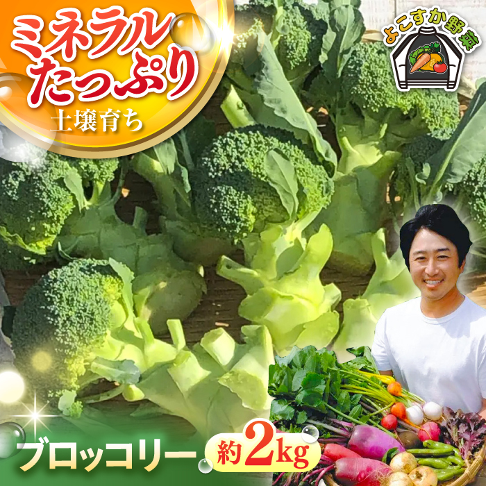 [先行予約]ブロッコリー 約2kg [鈴也ファーム] [AKCE018]