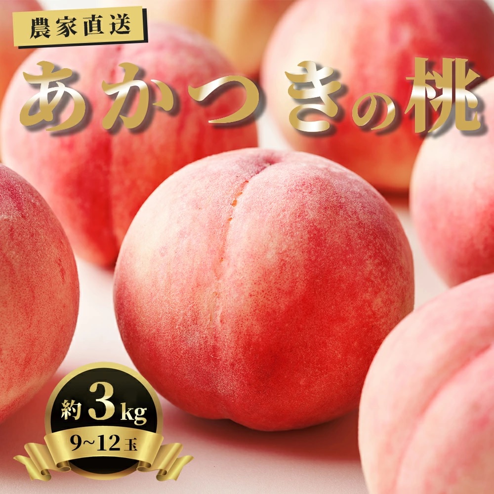 白桃 あかつき 3kg 9～12個 秀品 【2025年8月中旬発送】山形県 朝日町産 農家直送 山形産 もも モモ 桃 ピーチ 果物 先行予約 フルーツ 夏
