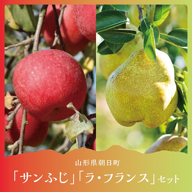 ラ・フランス&サンふじ 詰合せ 5kg 各6~9玉 秀品 【11月中旬発送】贈り物 農家直送 山形県 朝日町産 山形県産 山形 特産 果物 フルーツ りんご リンゴ 林檎 ふじ ラフランス 洋ナシ 洋梨 セット 産地直送 秋 冬