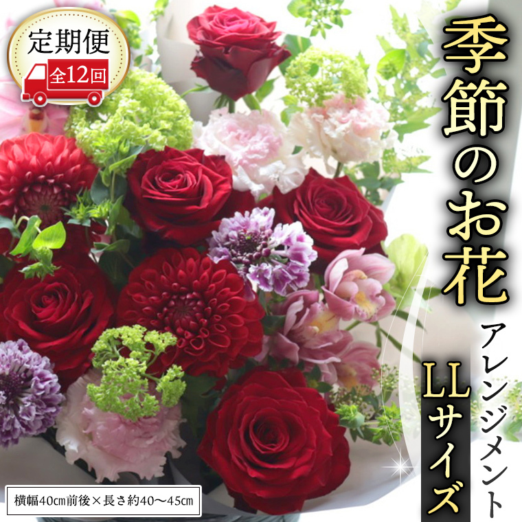 【 定期便 12か月 】季節の お花 の アレンジメント LL ギフト プレゼント 花 お祝い 贈答 記念日 フラワー  [CT144ci]