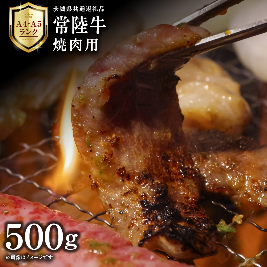 【 常陸牛 】 焼肉用 500g 茨城県共通返礼品 化粧箱入り A4 A5 ブランド牛 国産 牛肉 肉 お肉 黒毛和牛 和牛 ギフト 贈答 [AD009ci]