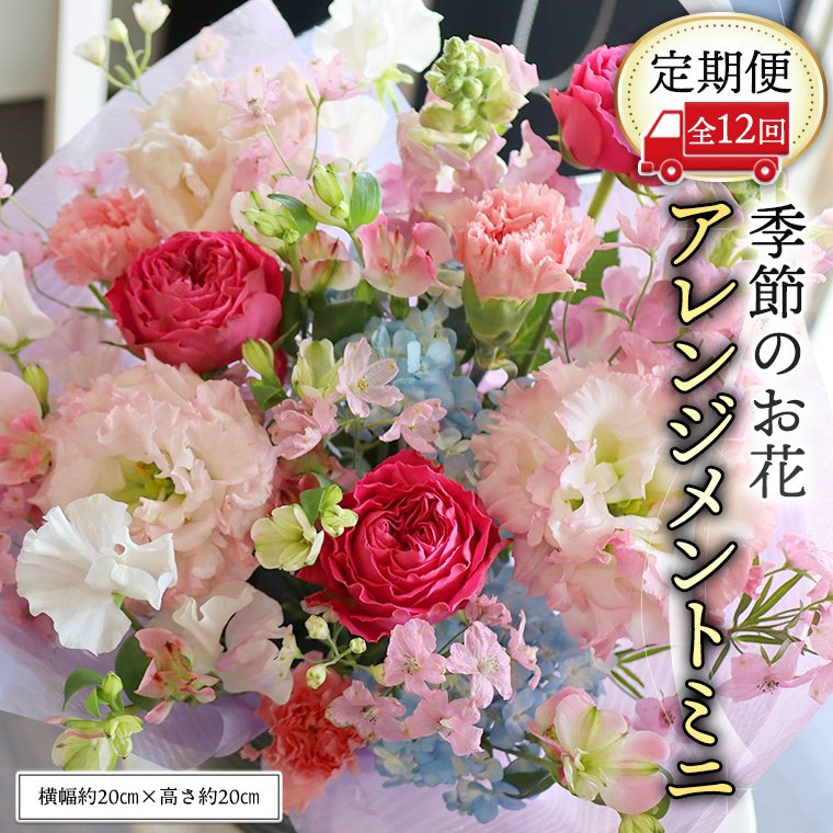 ≪定期便≫季節のお花アレンジメントミニ＊12回 アレンジメント 生花 [CT014ci]