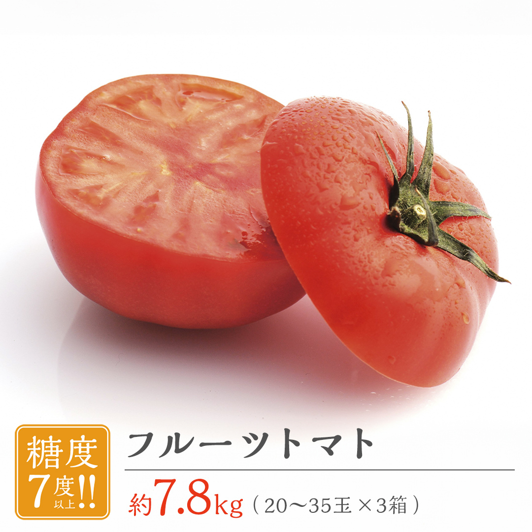 フルーツトマト 大箱 約2.6kg × 3箱 【大玉 20〜35玉/1箱】 2026年産 糖度7度 以上 野菜 フルーツ トマト とまと [AF074ci]