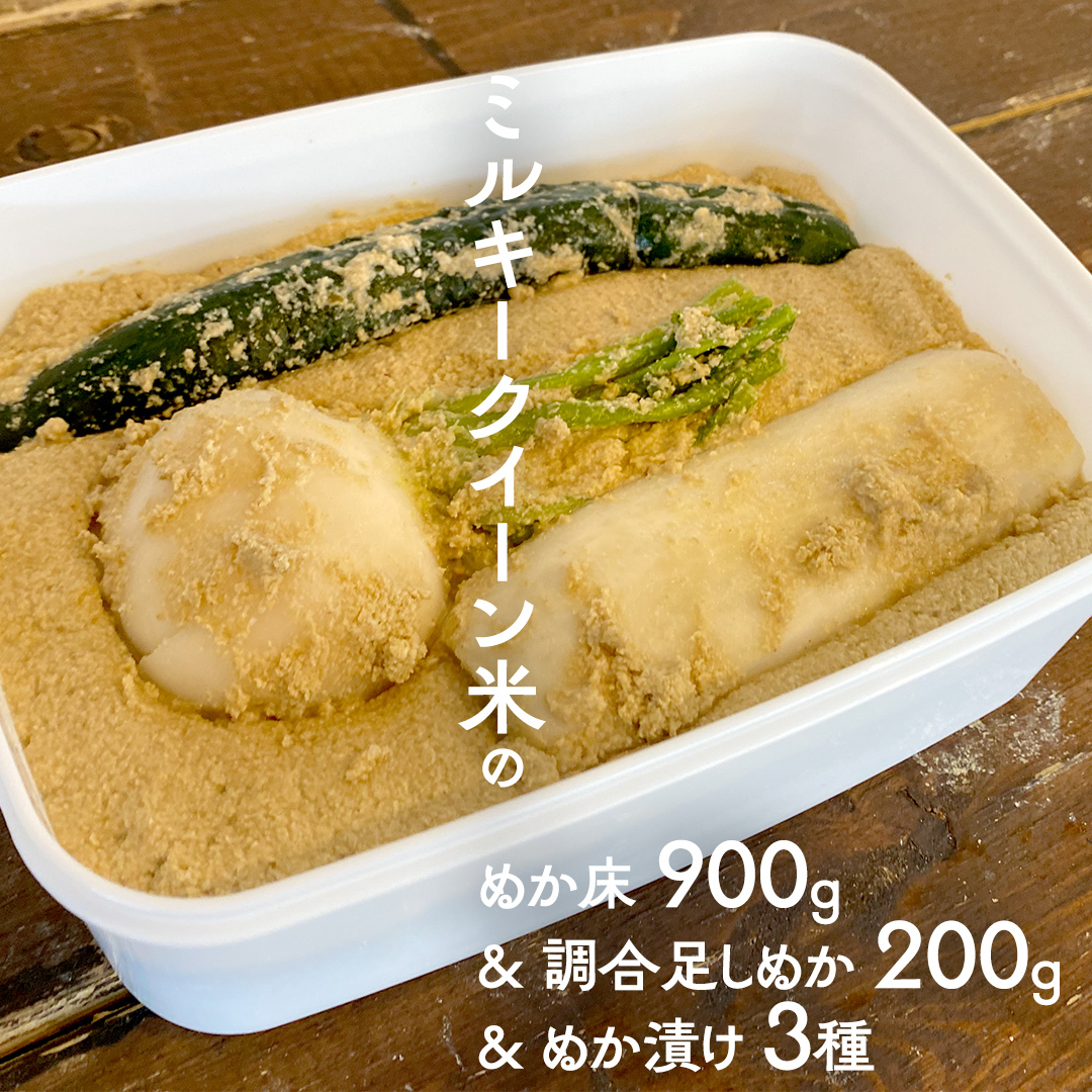 ミルキークイーン米 ぬか床  900g & 調合足しぬか200g & ぬか漬け 3種 セット 米 お米 コメ こめ ミルキークイーン ぬか漬け ぬか ぬかどこ 野菜 [BJ009ci]