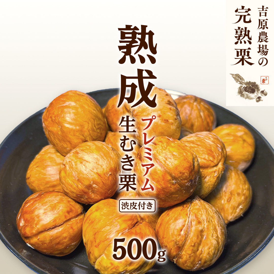 【 吉原農場 の 完熟栗 】 熟成 プレミアム 生むき栗 ( 渋皮付き ) 1袋 500g 令和7年産 完熟 生栗 生むき栗 焼き栗 くり クリ 栗ごはん 贈答 ギフト 果物 フルーツ 数量限定 旬 秋 冬 正月 おせち [CX013ci]