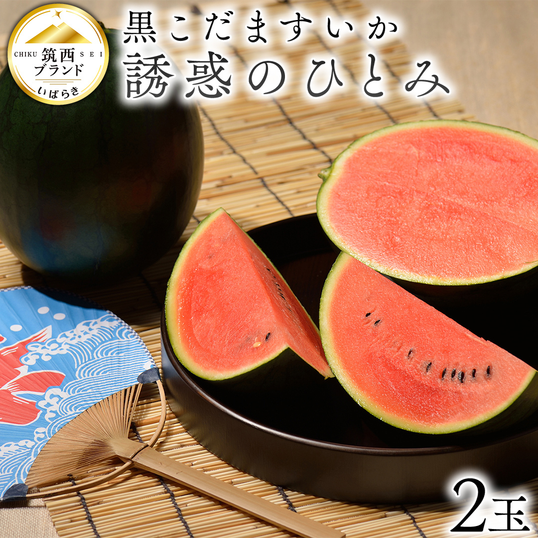 【 JA北つくば 】 黒こだますいか 「 誘惑のひとみ 」 2玉 2026年産 スイカ 果物 フルーツ 小玉スイカ 小玉 西瓜 くだもの デザート 茨城 [AE017ci]