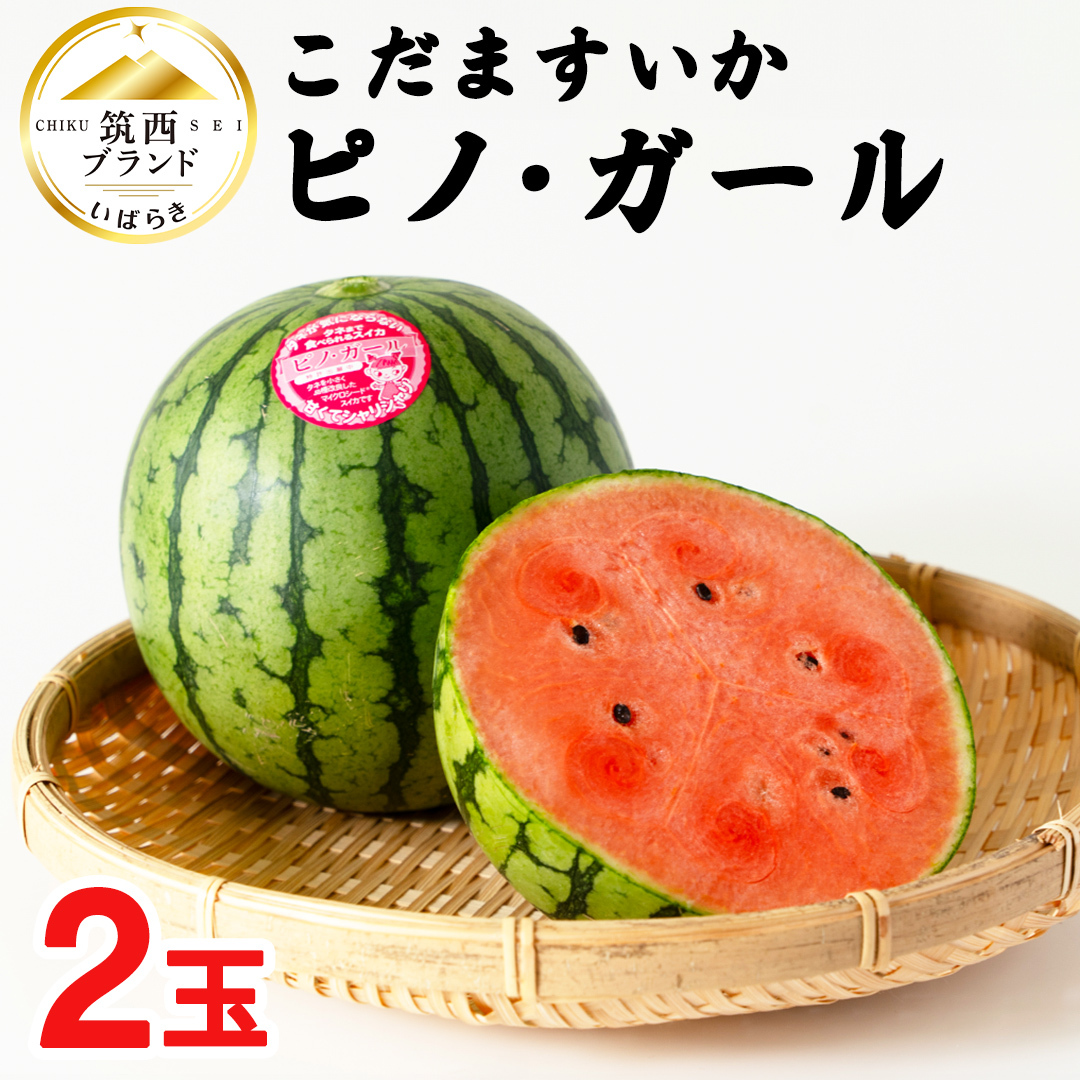 こだますいか 「 ピノ・ガール 」 2玉 2026年産 先行予約 筑西ブランド こだまスイカ 小玉スイカ すいか スイカ フルーツ 果物 [AF005ci]